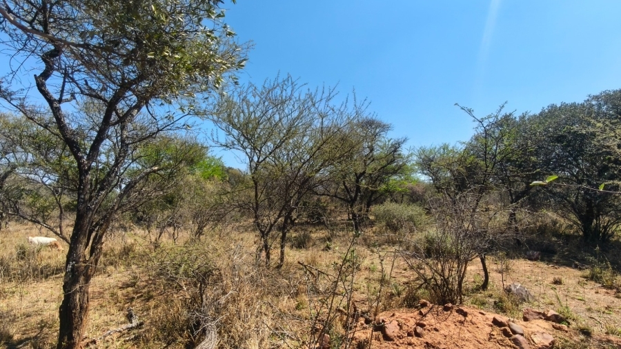 4 Bedroom Property for Sale in Zeerust North West